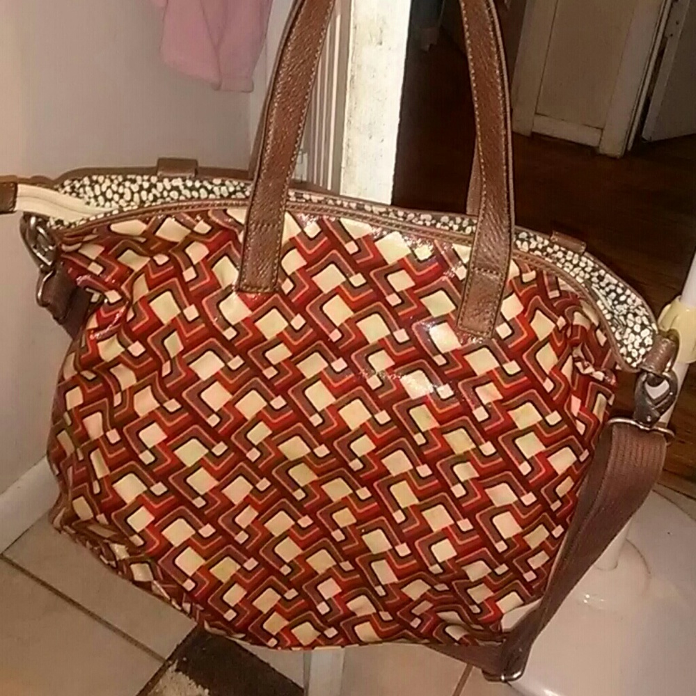 Fossil Very Pretty - image 4